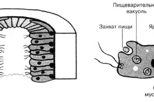 Смешные отзывы на омг омг