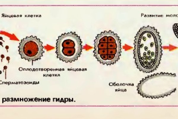 Омг теневой рынок