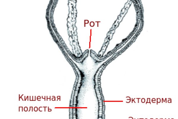 Как пополнить omg